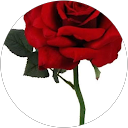 Anja Van Galen profielfoto